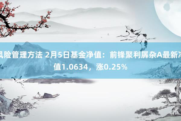 风险管理方法 2月5日基金净值：前锋聚利羼杂A最新净值1.0634，涨0.25%