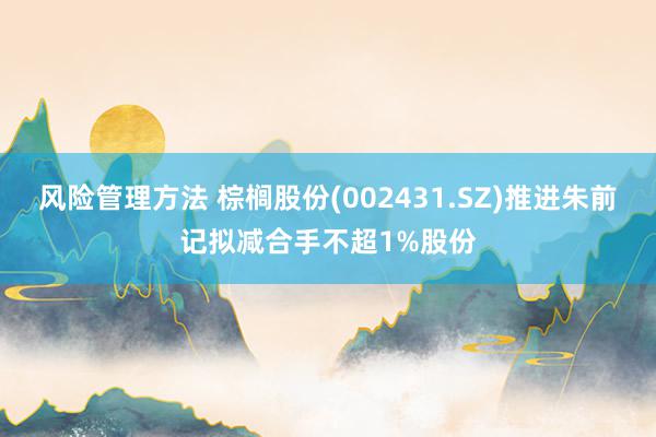 风险管理方法 棕榈股份(002431.SZ)推进朱前记拟减合手不超1%股份