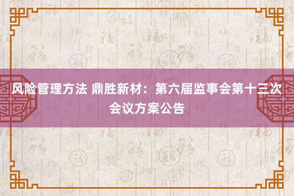 风险管理方法 鼎胜新材：第六届监事会第十三次会议方案公告