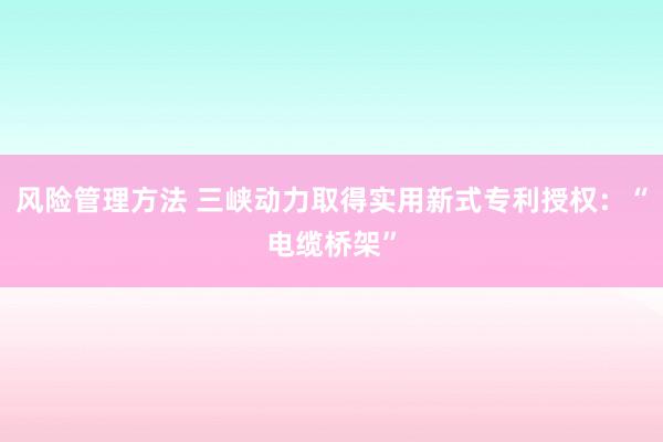 风险管理方法 三峡动力取得实用新式专利授权：“电缆桥架”