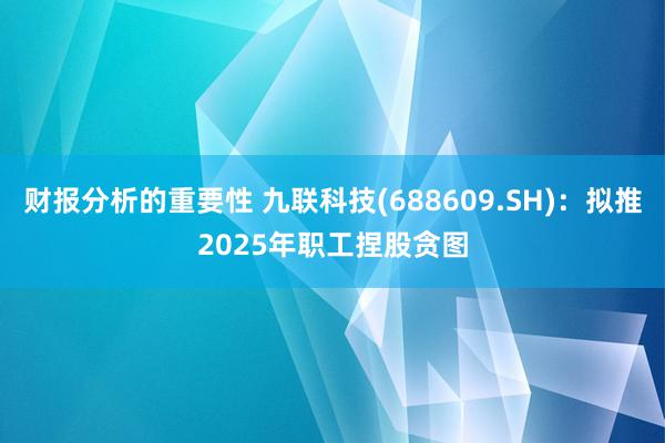 财报分析的重要性 九联科技(688609.SH)：拟推2025年职工捏股贪图